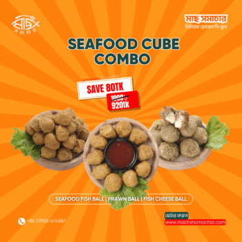Seafood Cube
